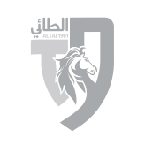 تشكيلة الطائي